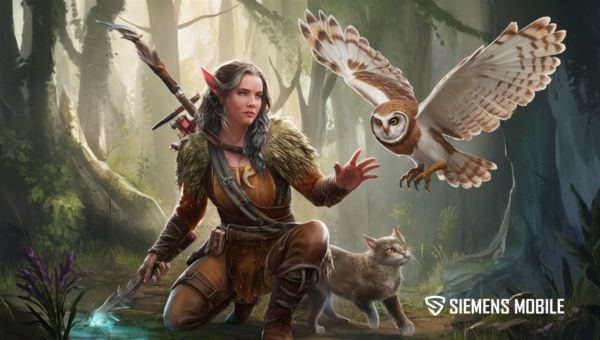 Druid 5e : Wild Companion