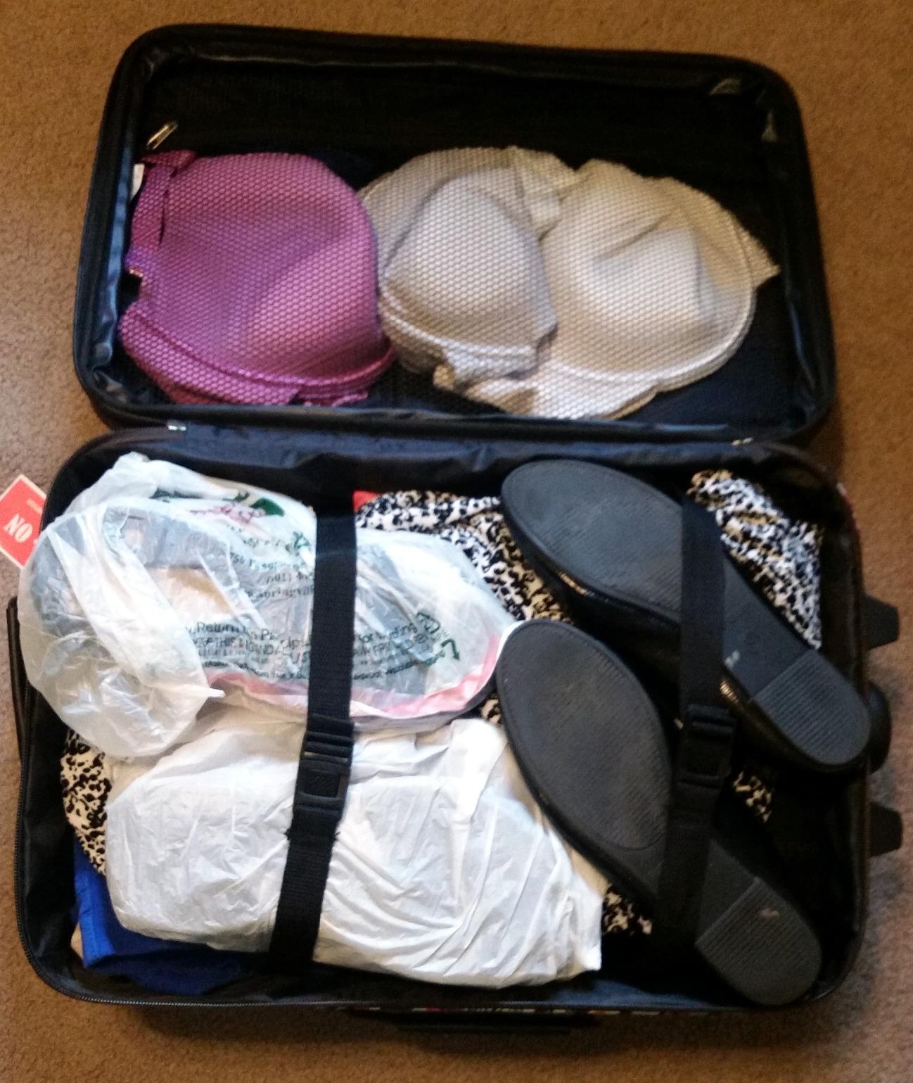 Fashion Expandable Softside Upright Luggage Set, Purple, 2-Piece (14/19) customer photo 2