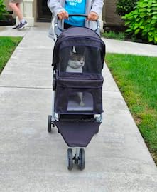 BestPet 3-Wheel Pet Stroller | Dog and Cat Stroller | Breathable Mesh | Lightweight Travel Carrier | Waterproof & Foldable Design | Storage Basket | Black customer photo 2