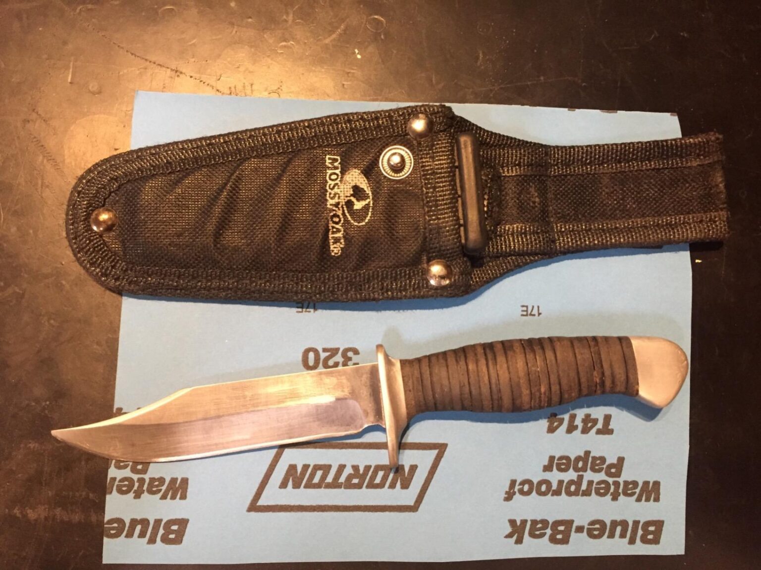 12 Best Hunting Knives for Survival (March 2026) Expert Reviews ...
