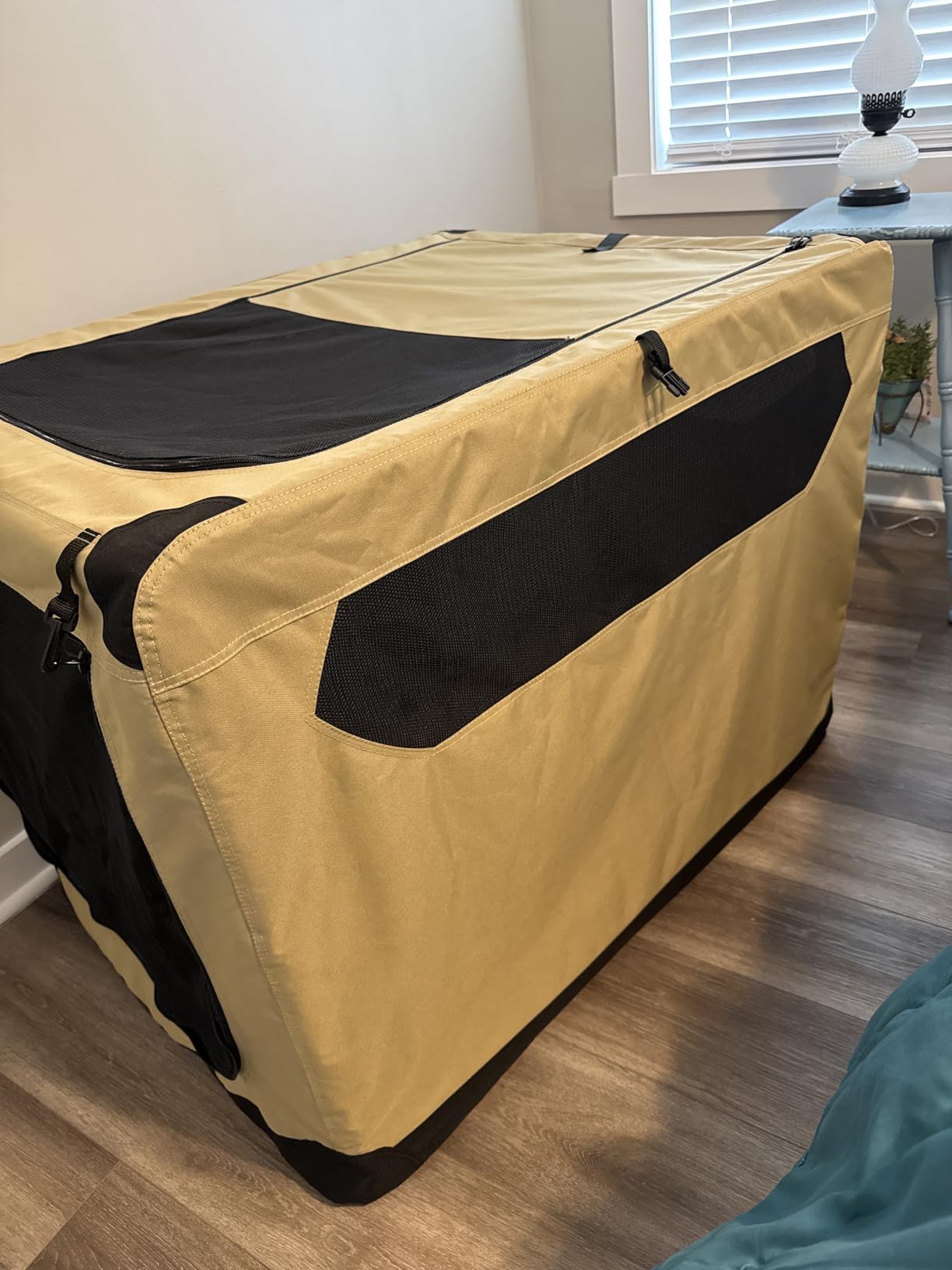 Amazon Basics Portable Folding Soft Dog Crate, Double Door, Collapsible Travel Kennel, Easy to Assemble, Medium, 29.92