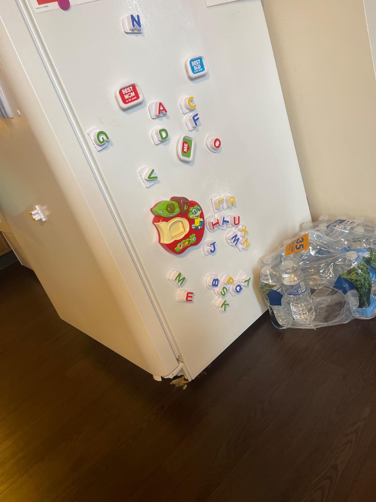 Tad's Fridge Phonics Magnetic Letter Set customer photo 1
