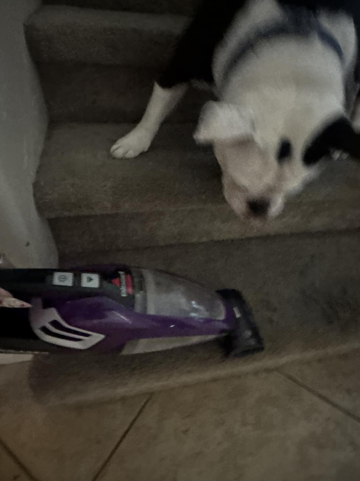 Bissell Pet Hair Eraser Cordless Hand Vacuum, Lithium Ion, Home, Auto, and Pet Vacuum, Easy-Empty Dirt Bin, Upholstery Tool, Brush Tool, and Crevice Tool Included, 2390A customer photo 2