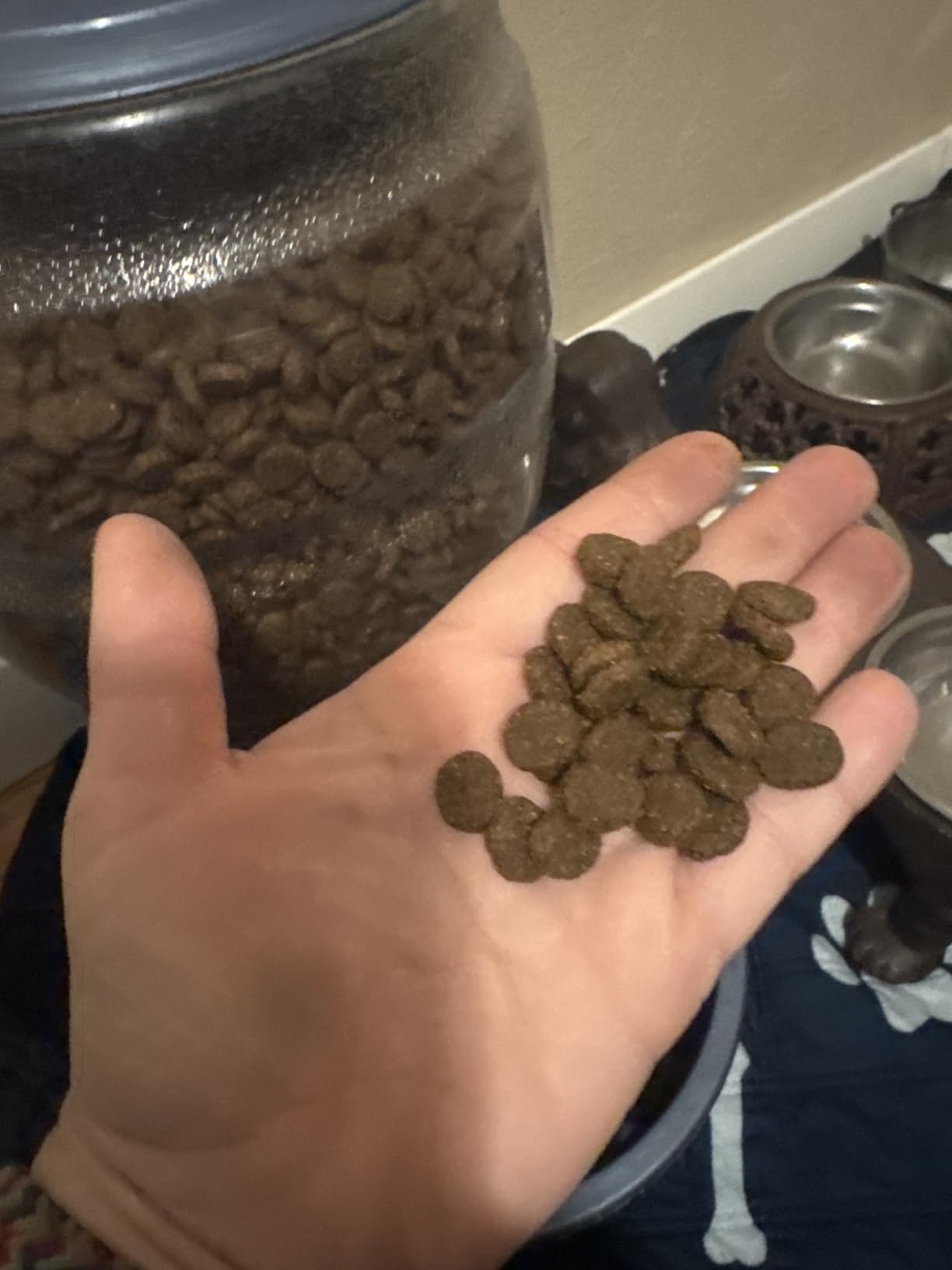 Taste of the Wild High Prairie Canine Grain-Free Recipe with Roasted Bison and Venison Adult Dry Dog Food, Made with High Protein from Real Meat and Guaranteed Nutrients and Probiotics 28lb customer photo 2