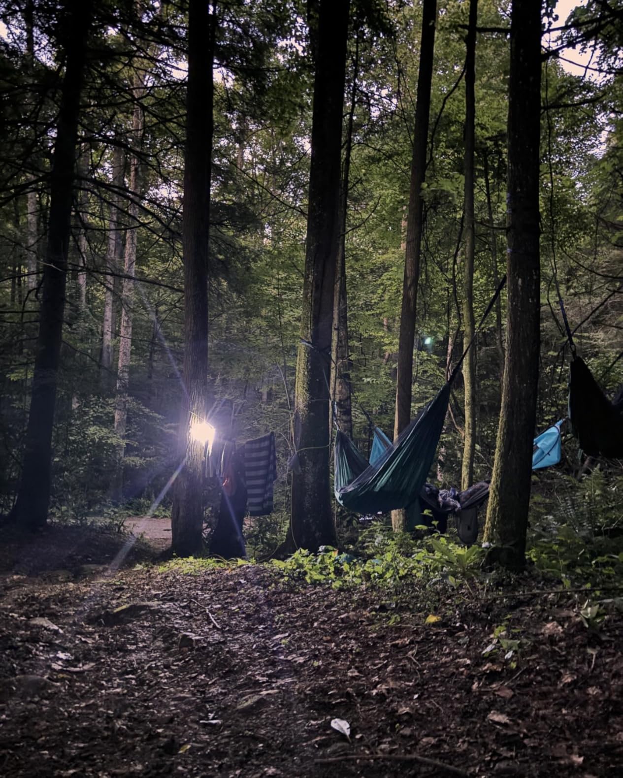 Covacure Camping Hammock - 772lbs Capacity Double Hammock with Tree Straps, Lightweight Parachute Nylon Outdoor Survival Gear for Hiking, Backpacking, Travel or Backyard (Black) customer photo 1