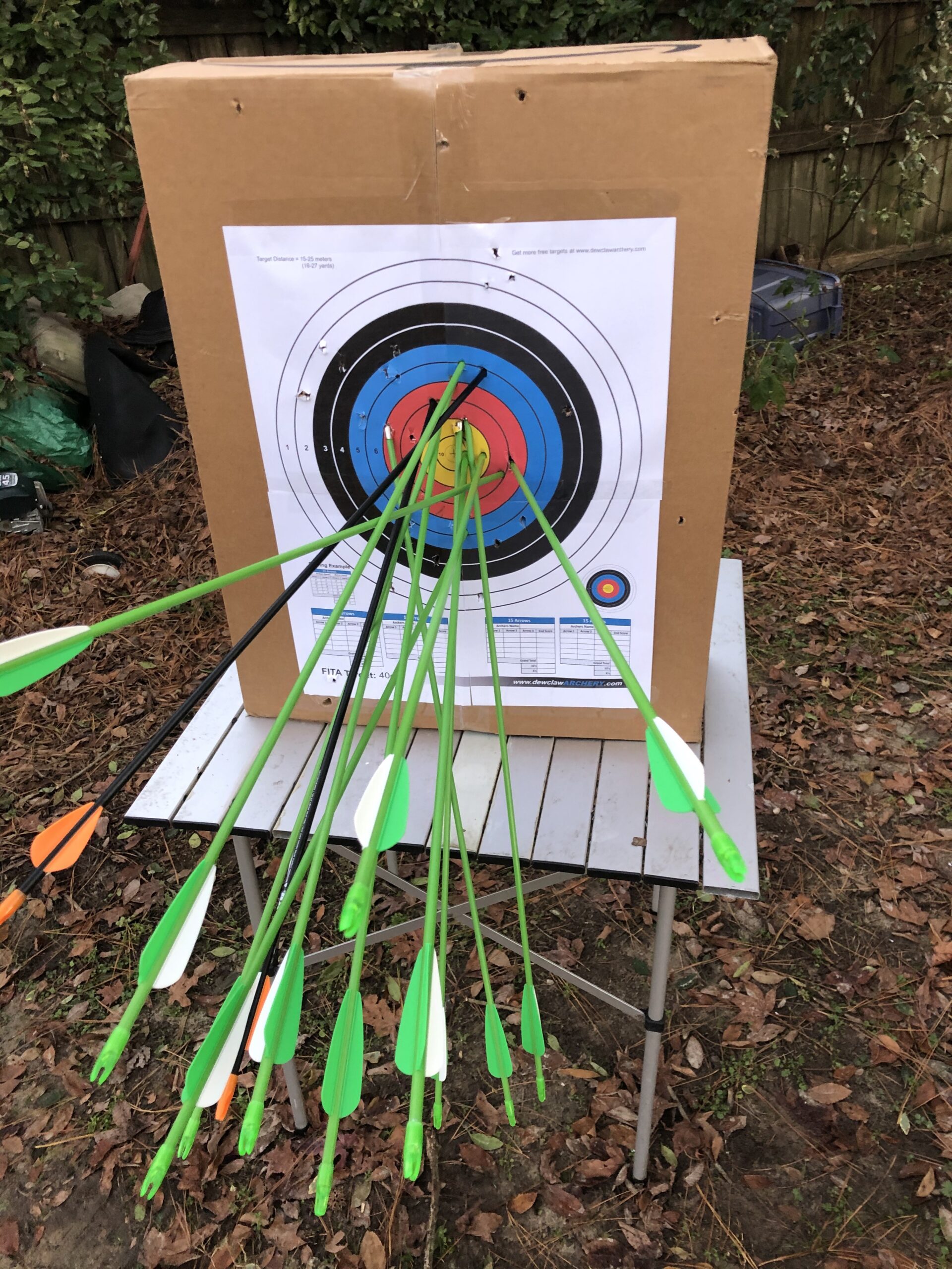 Bear Archery Apprentice Bow Set. customer photo 2