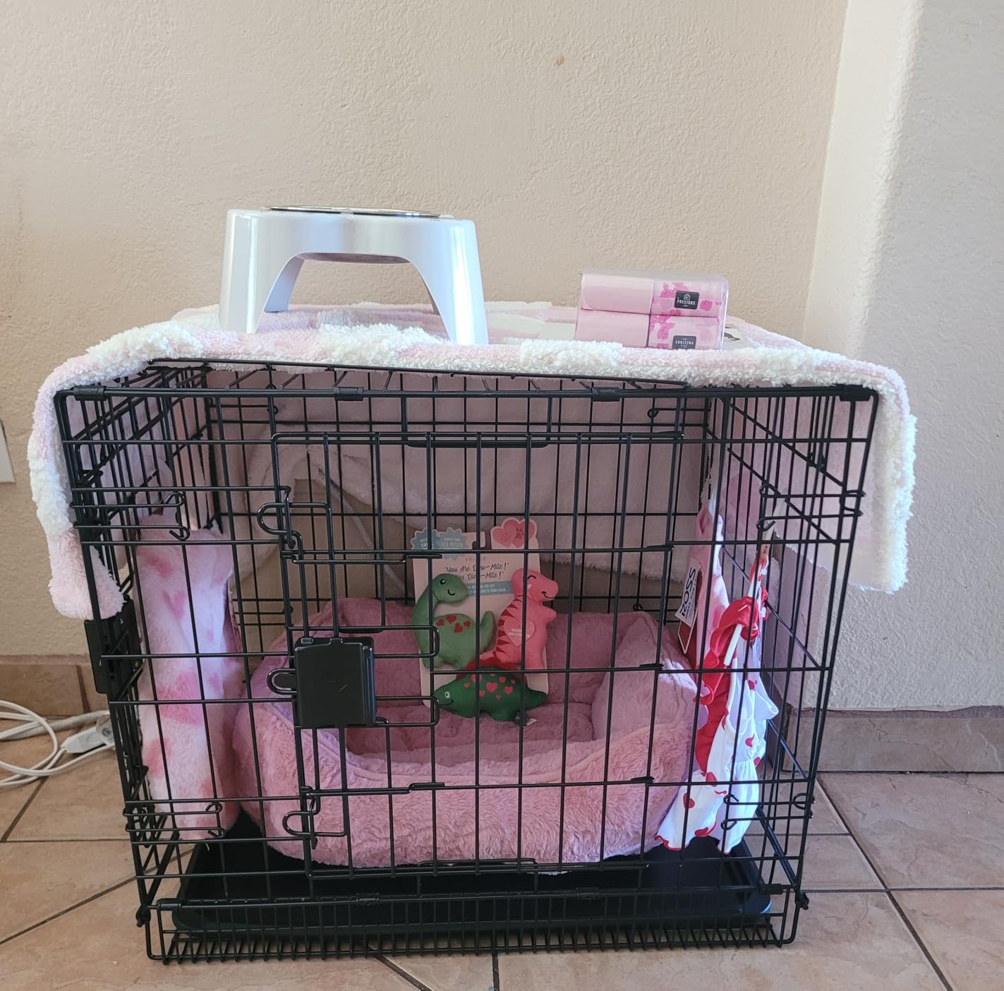 Amazon Basics Portable, Foldable Metal Wire Dog Crate with Removable Tray, Single Door, Divider Panel, Collapsible for Travel, 22 x 13 x 16 in, Black customer photo 1