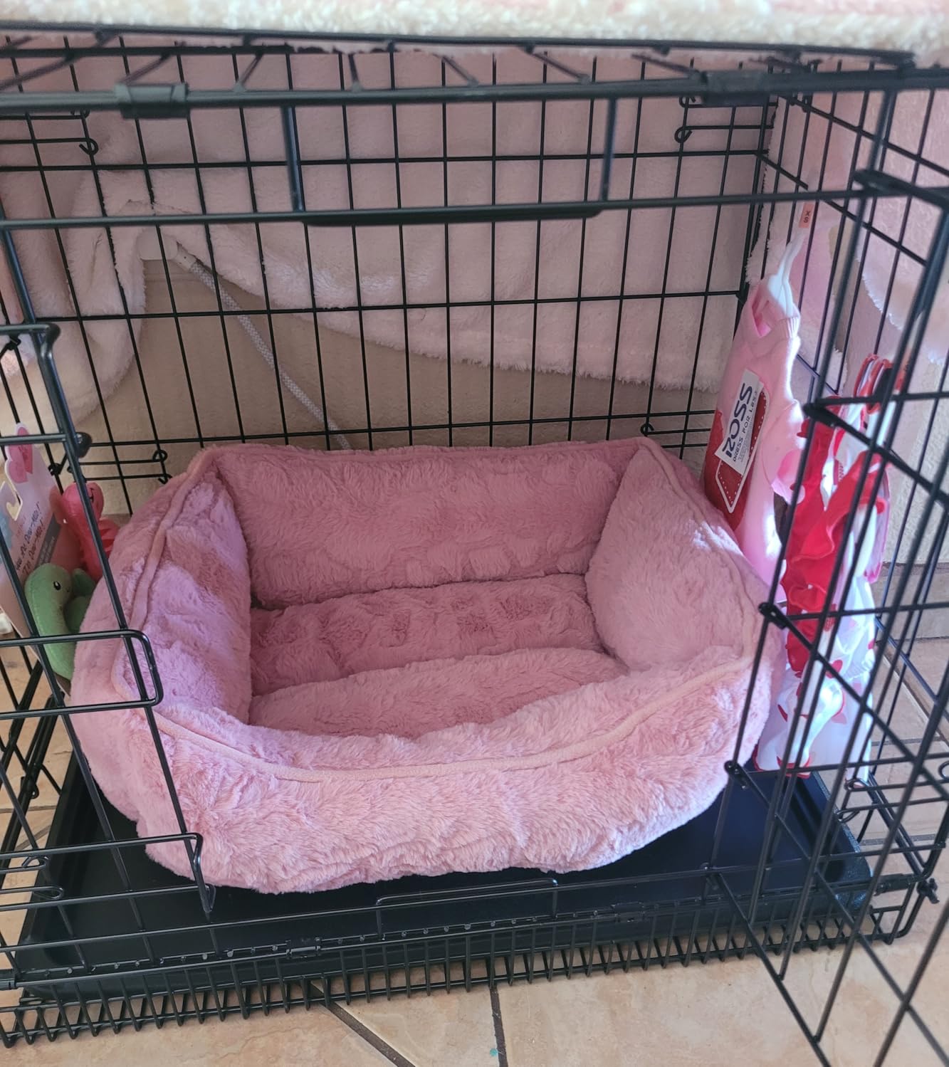 Amazon Basics Portable, Foldable Metal Wire Dog Crate with Removable Tray, Single Door, Divider Panel, Collapsible for Travel, 22 x 13 x 16 in, Black customer photo 2