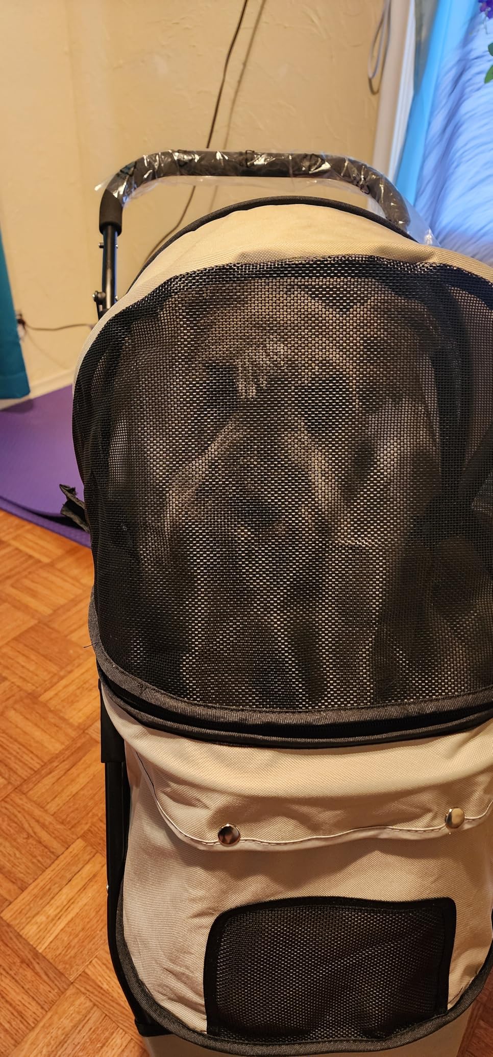 Carlson Pet Products Stroller, Includes 360 Degree Front Wheel Swivel, Rear Wheel Breaks, Reflective Trim, Mesh Panels, Umbrella and Mesh Canopy, Khaki customer photo 2