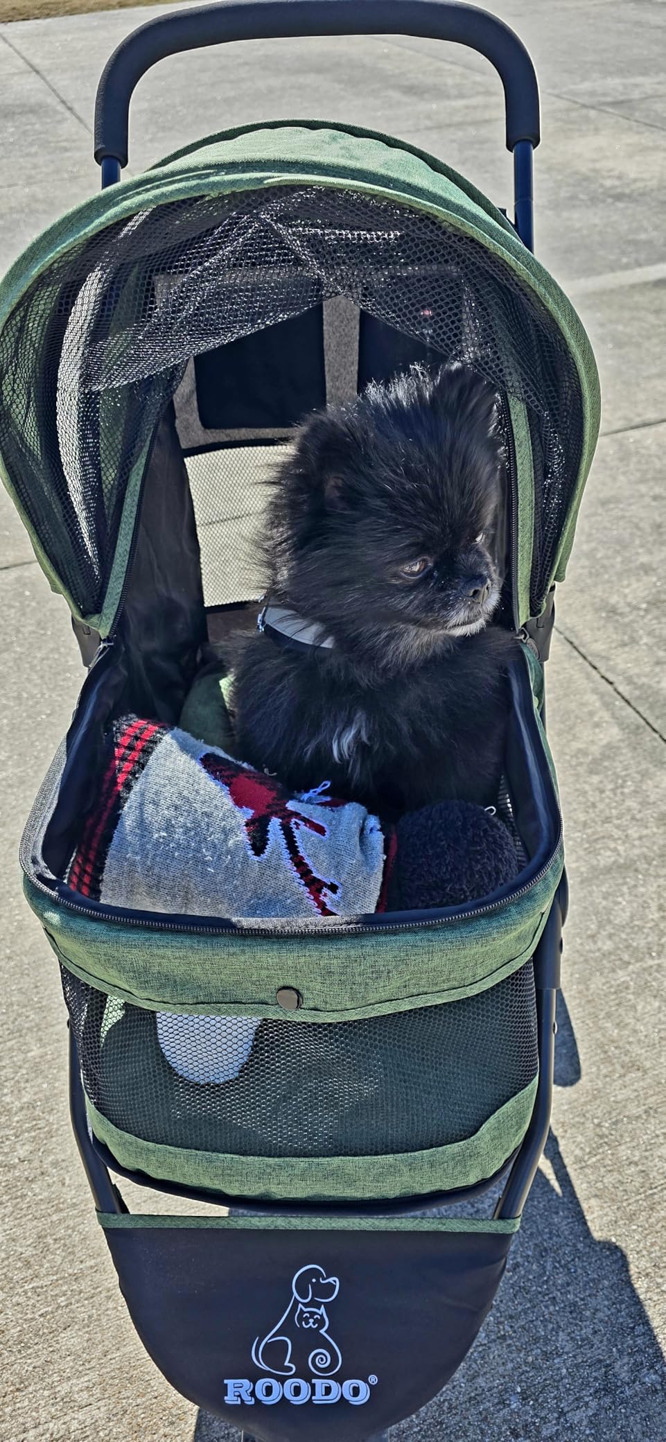 ROODO 3 Wheel Pet Stroller Best Lightweight Foldable Compact Portable Jogger All Terrain Travel Pet Gear Puppy Kitty Stroller for up to 30lbs Medium Small Dogs and Cats(Green) customer photo 2