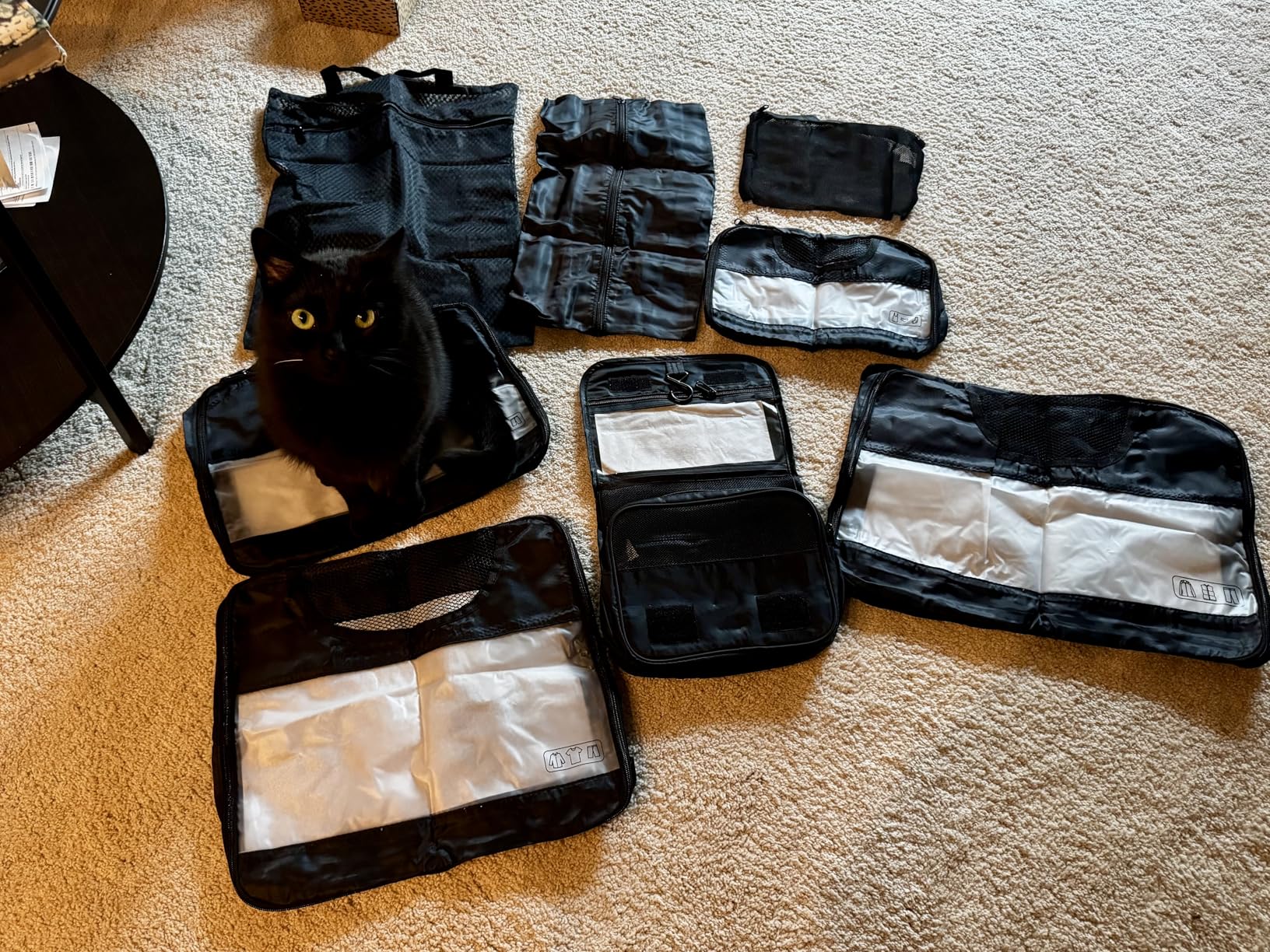 Veken 10 Set/8 Set Packing Cubes for Travel Essentials, Suitcase Organizer Bags in 4 Sizes, Carry-On Luggage Accessories with Laundry & Toiletry Bag customer photo 1