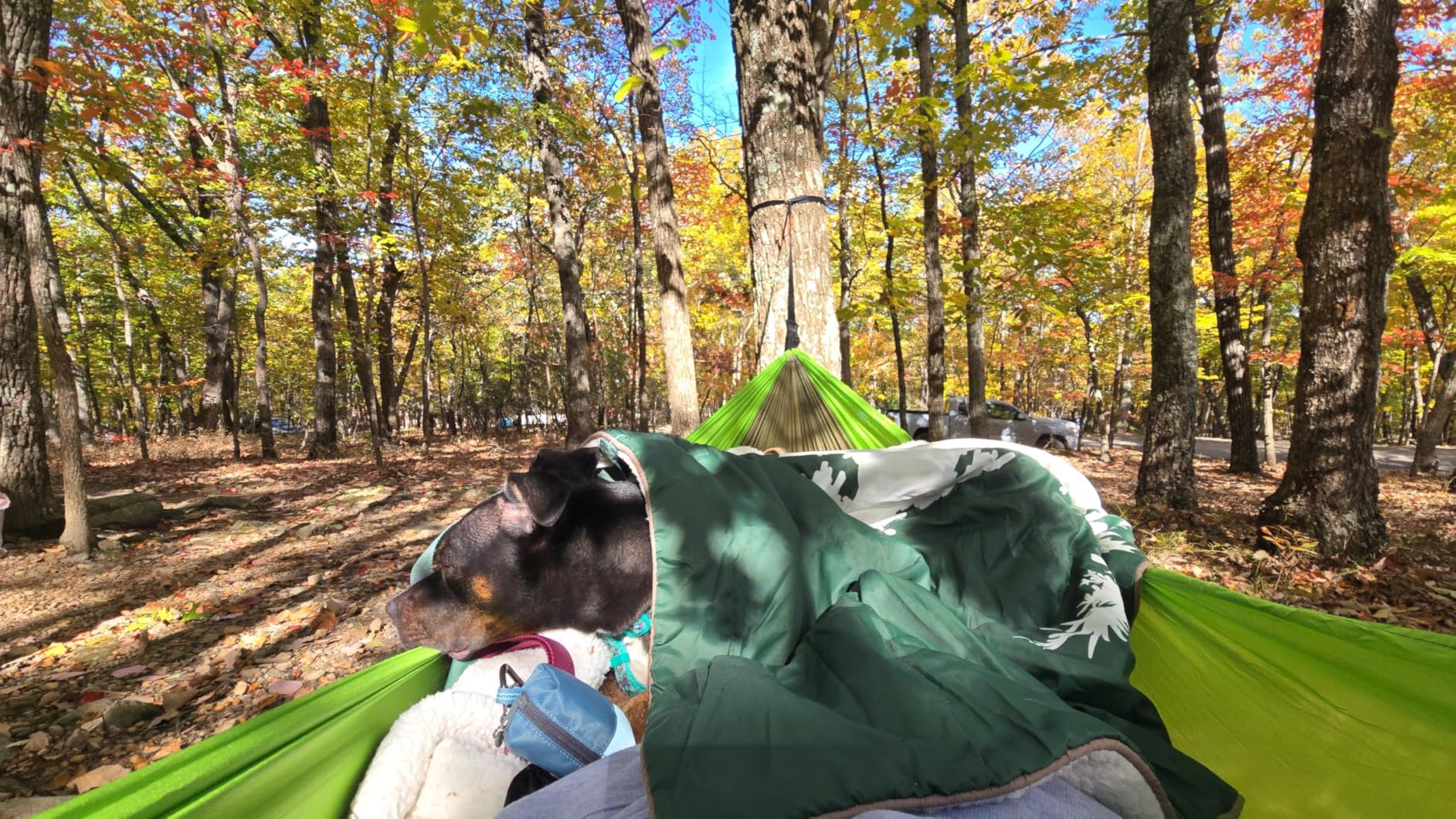 GORILLA GRIP Durable Camping Hammock with Heavy Duty Tree Straps, Portable Hammocks for Outside, Easy to Use Travel Swing Chair, Outdoor Camper Hiker Essentials, Backpacking Gear Gifts, Single, Blue customer photo 2