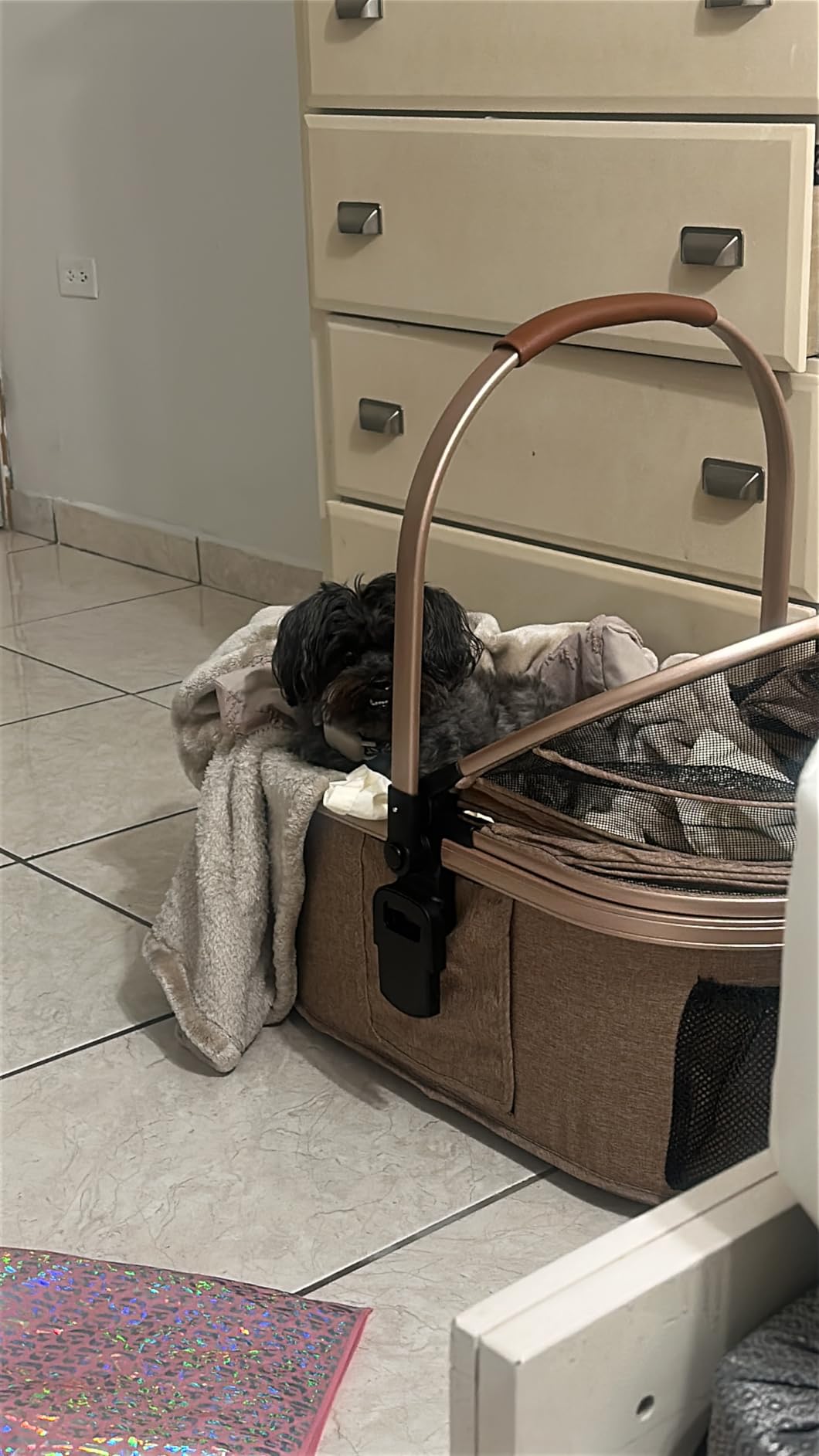 Pet Stroller for Medium Dogs, Smooth-Ride Dog Stroller with Detachable Carrier, Rubber Wheels, Car Seat Combo 3-in-1, Up to 50 lbs, for Senior Dogs & Cats, Grey customer photo 1