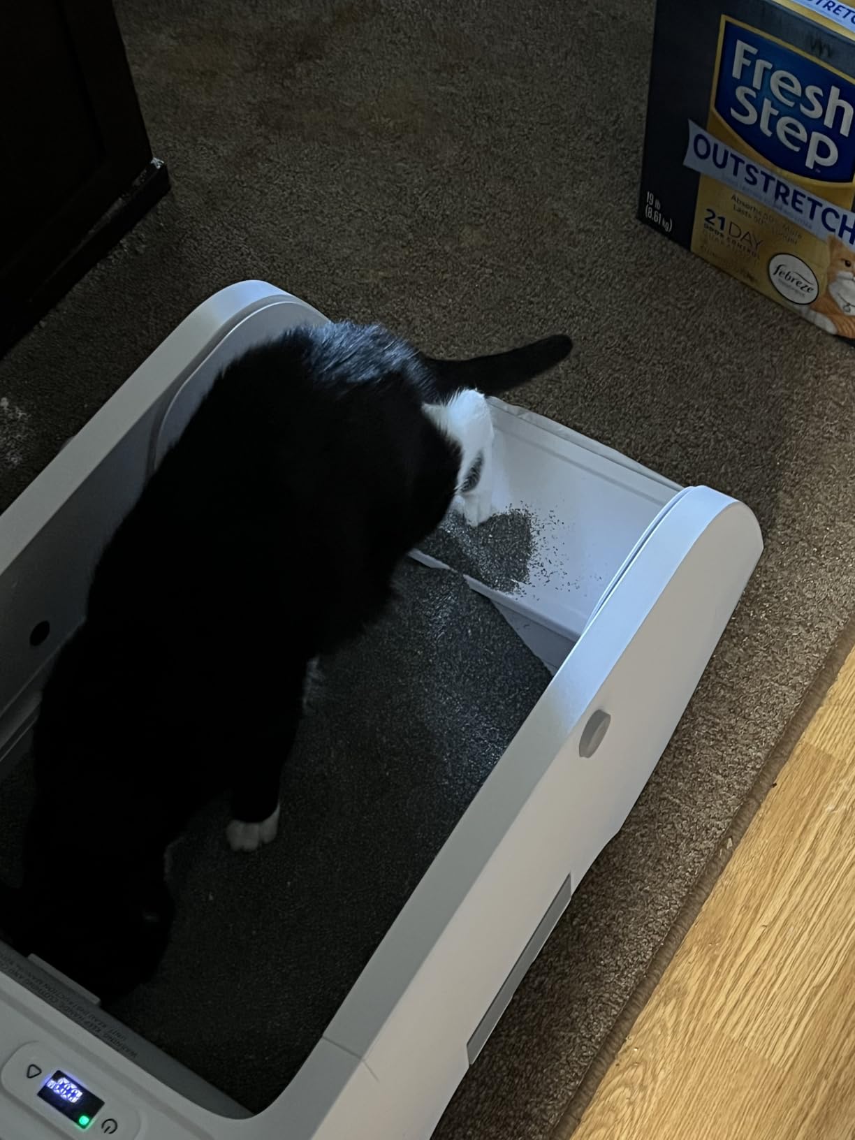 Petcove Automatic Self Cleaning Litter Box - PurrTek Smart Automatic Litter Box for Multi-Cat Homes with Smart App Control (5GHz Wi-Fi), Triple Odor Control Quiet Operation & Advanced Safety Sensors customer photo 1