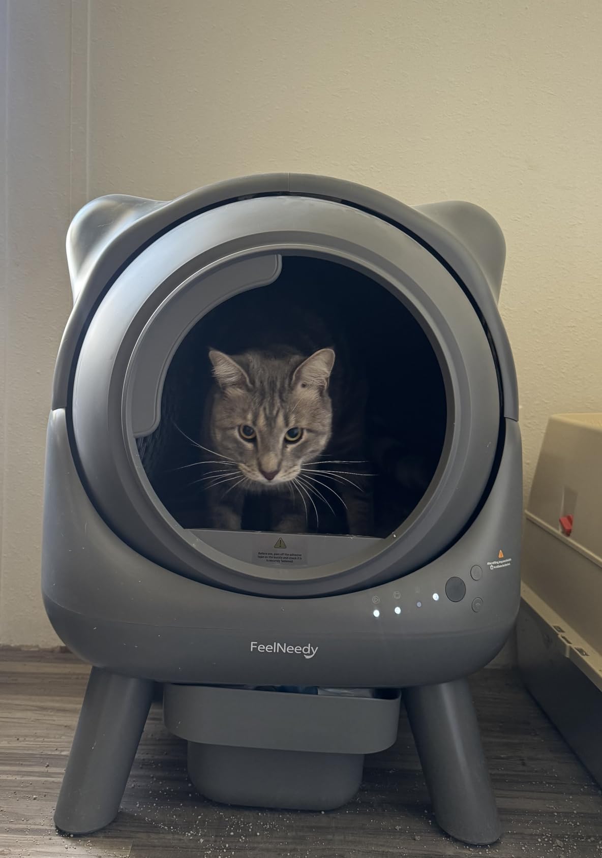 FEELNEEDY Self Cleaning Litter Box, Automatic Litter Box, Odor Control Robot, Cat Ears Design, 65L APP Real-Time Monitor, Cat Litter-Boxs for Multiple Cats, Safety Sensors, with 1 Trash Bag customer photo 2