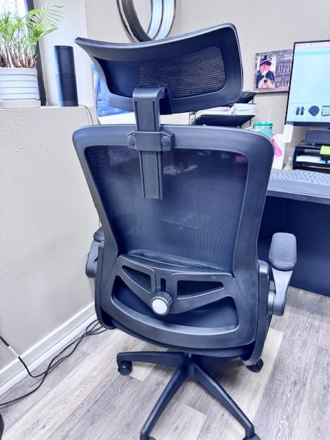 Fizzin Ergonomic Office Chair, 400 LBS Computer Chairs with Adjustable Lumbar Support, Breathable Mesh Desk Chair Ergonomic with Thickened Cushion, Comfy Home Office Desk Chair (Black) customer photo 1