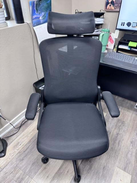 Fizzin Ergonomic Office Chair, 400 LBS Computer Chairs with Adjustable Lumbar Support, Breathable Mesh Desk Chair Ergonomic with Thickened Cushion, Comfy Home Office Desk Chair (Black) customer photo 2