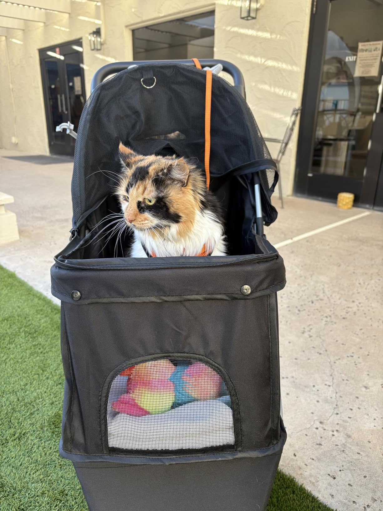 Smug 3 Wheels Pet Stroller, Dog and Cat Strollers, Storage Basket and Cup Holder, Breathable Mesh, Lightweight Travel Carrier, Waterproof and Foldable for Small Pets Outdoor Walk, Black customer photo 2