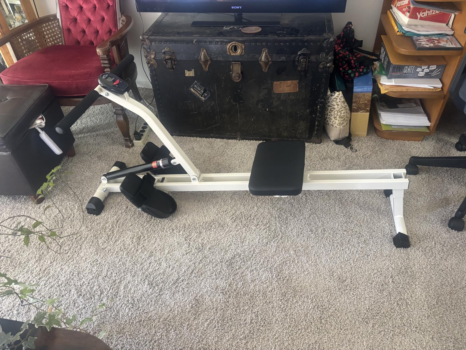FEIERDUN Hydraulic Rowing Machine for Home, Compact Adjustable Rower with 12 Resistance Levels, 300LBS Weight Capacity, Full Body Workout Equipment customer photo 1
