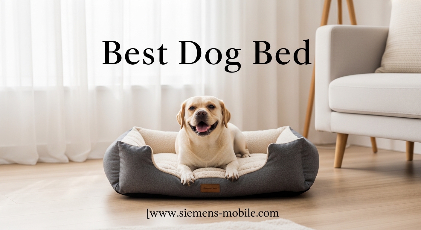 Best Dog Bed
