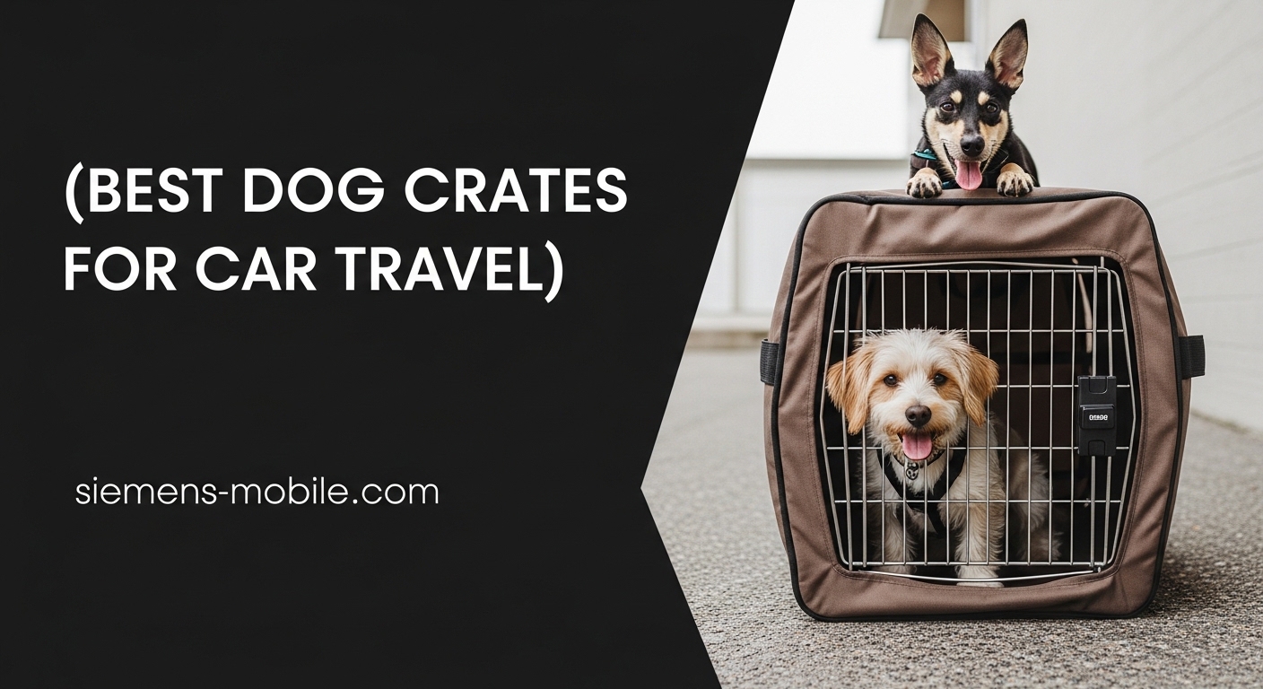 Best Dog Crates for Car Travel
