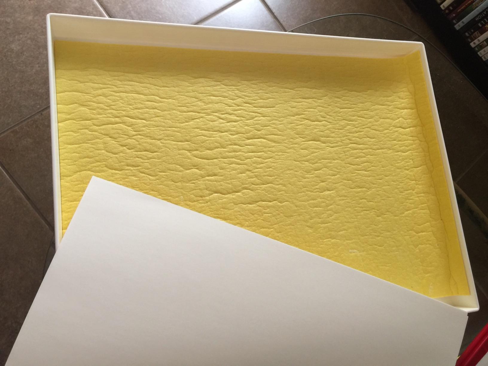 Masterson Sta-Wet Premier Palette Airtight Paint Palette Keeps Paint Fresh for Days 12 x 16 Inches, Made in USA customer photo 2