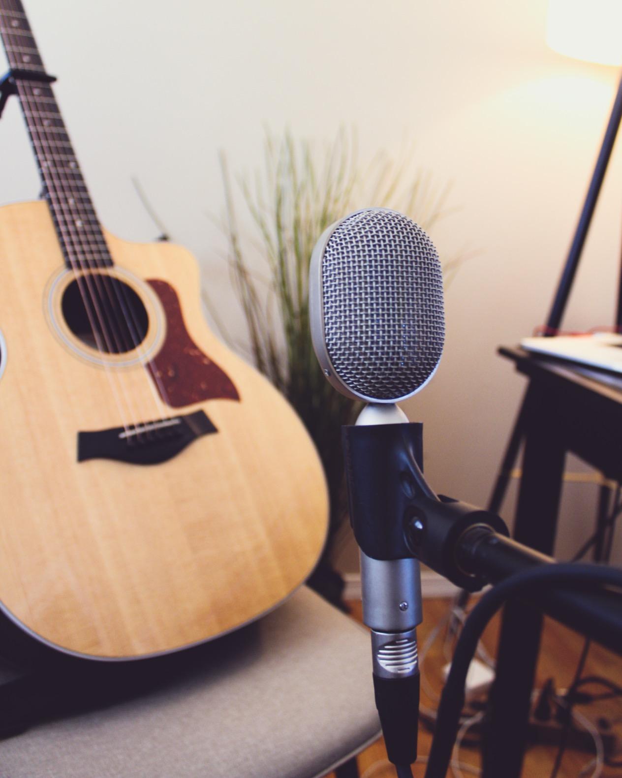 Nady RSM-5 Ribbon Microphone - Unique compact shape perfect for close miking customer photo 1