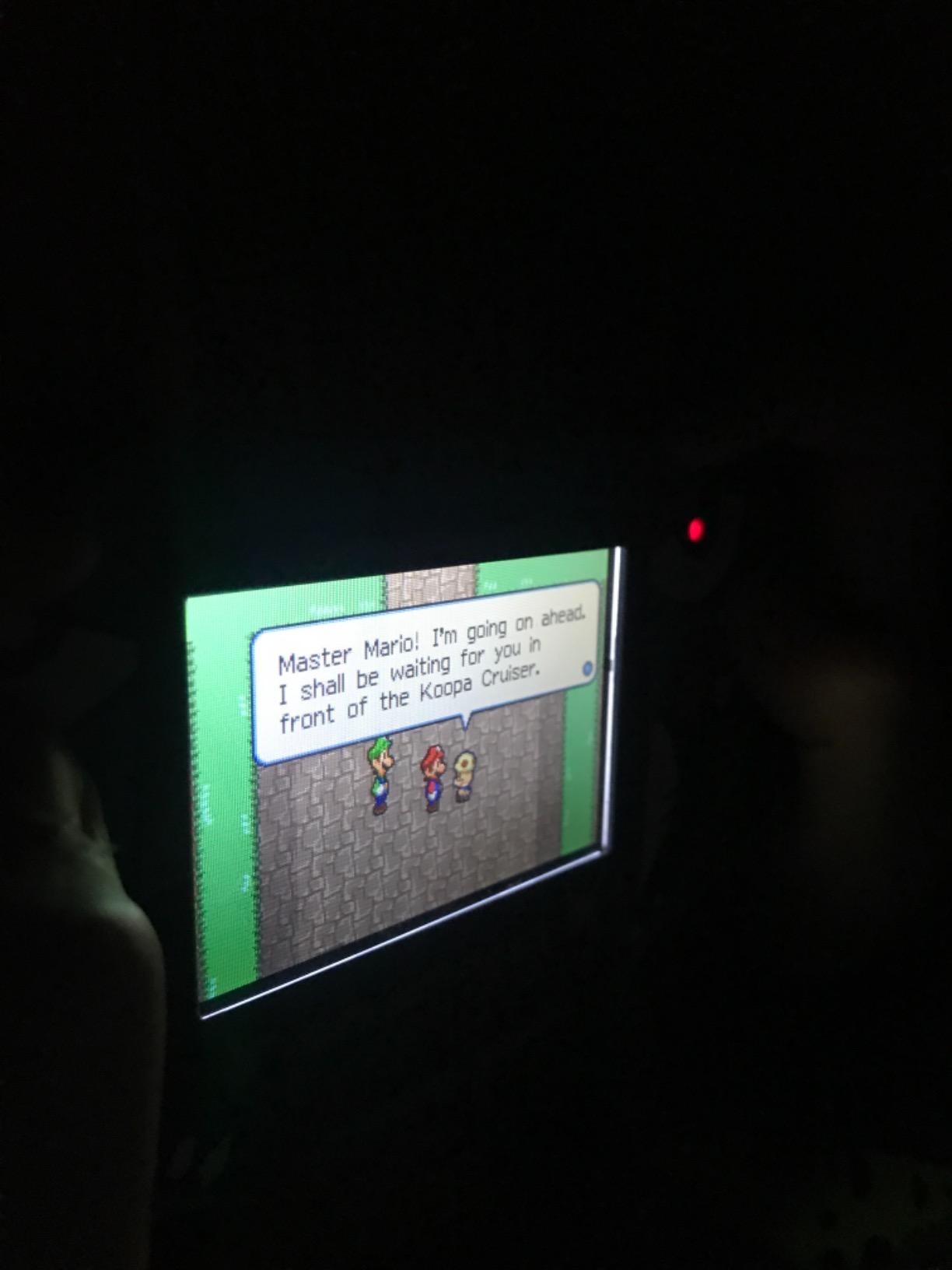 EVERDRIVE GBA Mini Flash Cart customer photo 2
