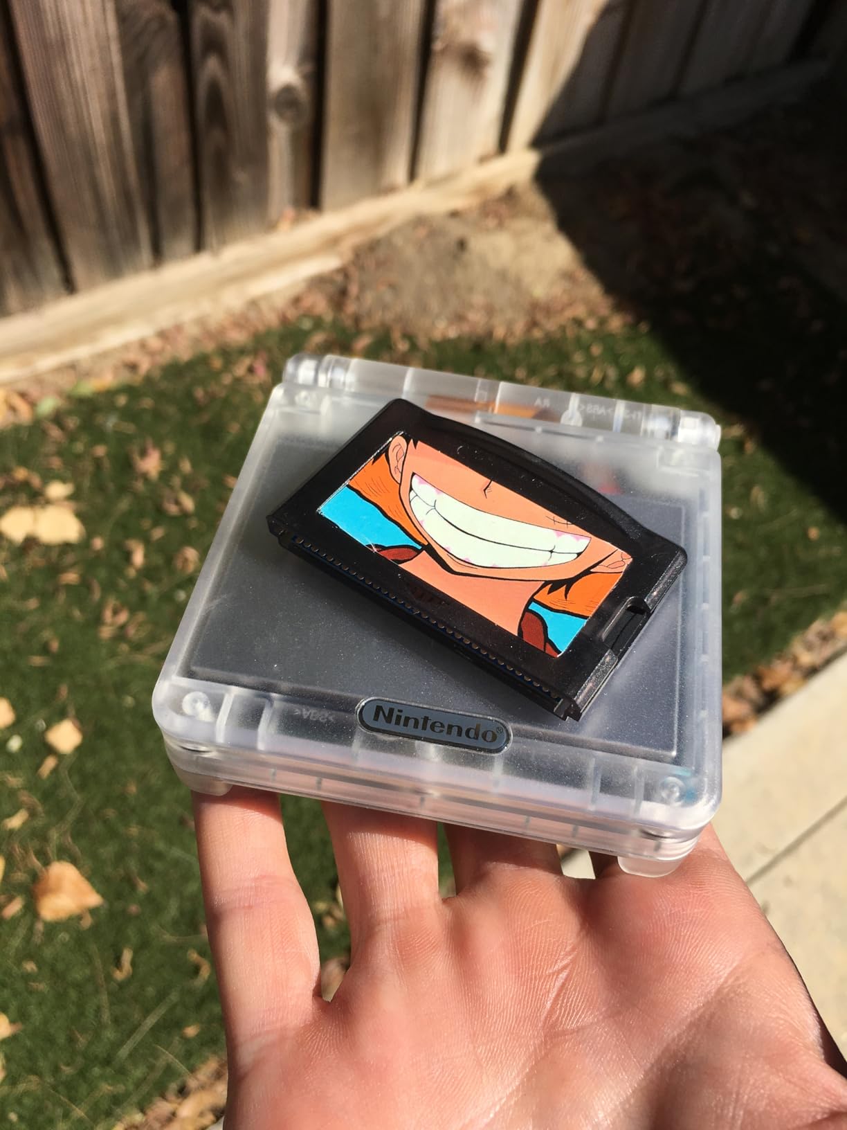 EZ-FLASH OMEGA Instant Game Loads (Newest Ver of EZ Flash IV/4) EZ-Flash 4 Super Card for GBA/GBASP/GBM/NDS/NDSL/IDS/IDSL/MICRO-Better than X5-Supercard, plug-n-play, no game patches required customer photo 2