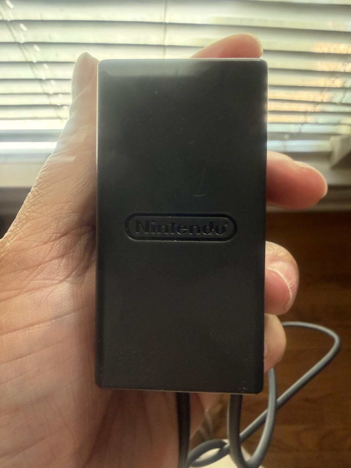 Nintendo Switch AC Adapter customer photo 1