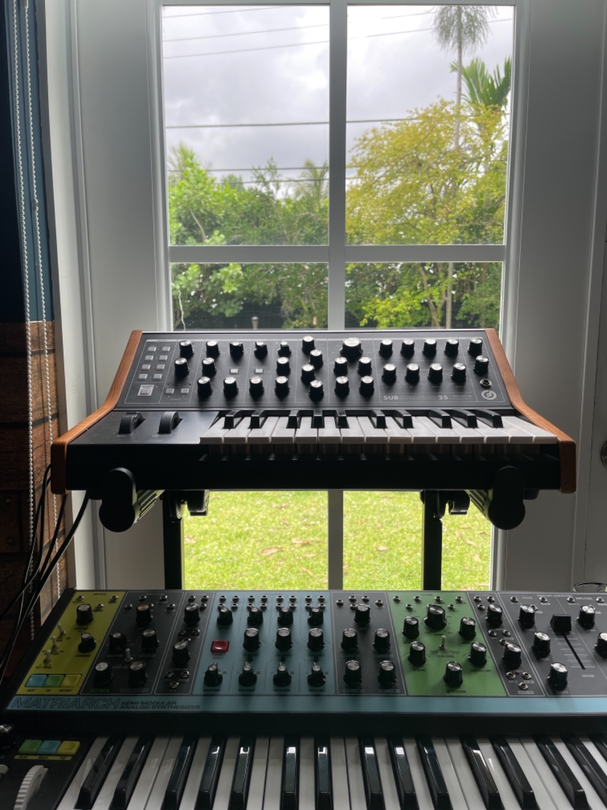 MOOG Subsequent 37 Paraphonic Analog Synthesizer and MIDI Keyboard with 37 Semi Weighted Keys customer photo 1