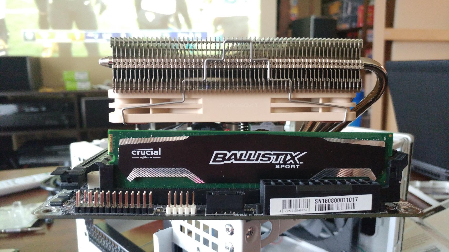 Noctua NH-L12S, Premium Low Profile CPU Cooler with Quiet 120mm PWM Fan (Brown) customer photo 2