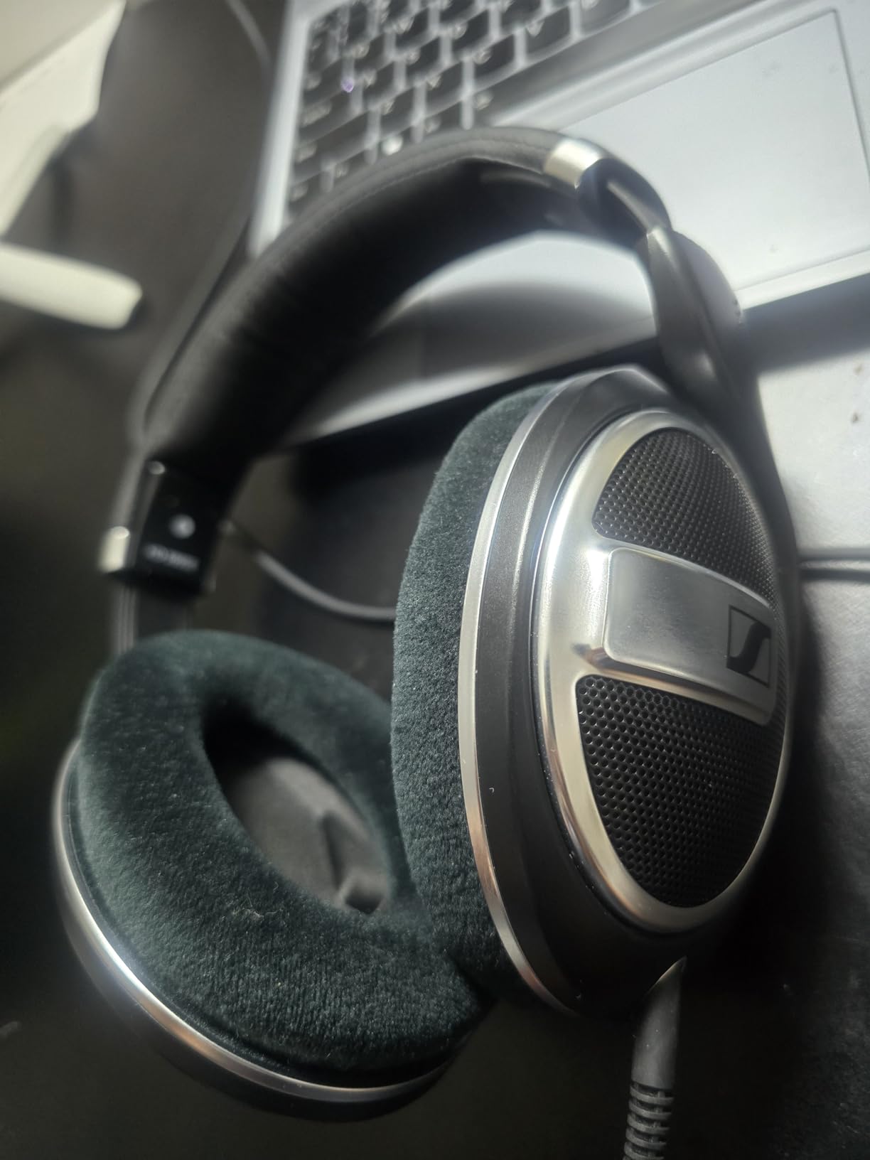Sennheiser HD 599 - Open Headphones, Special Edition, Black, Wired customer photo 1