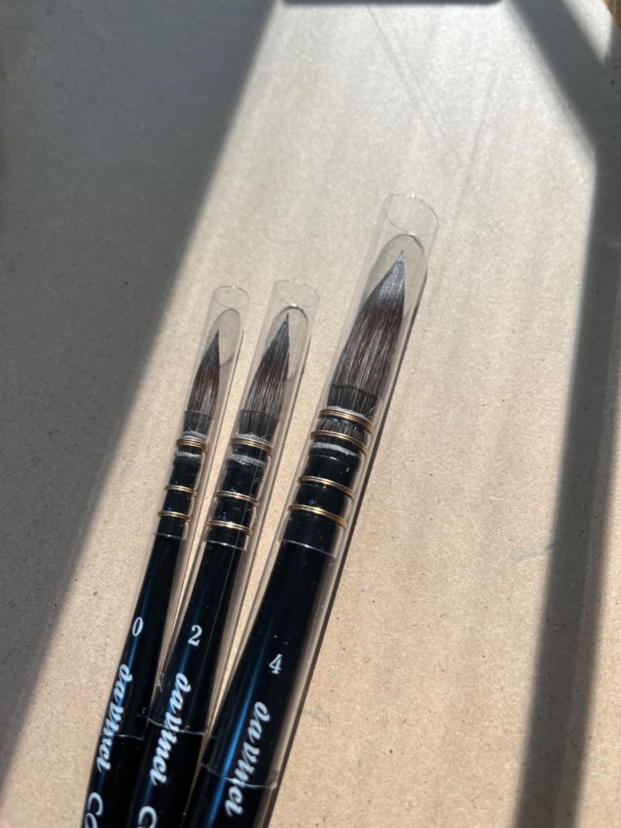 Da Vinci Brushes 5507A2 5580 Spin Miniature Detail (Sizes 10/0, 5/0, 3/0, 2/0, 0) Artist Brush Set, Red, 5 Count (Pack of 1) customer photo 1