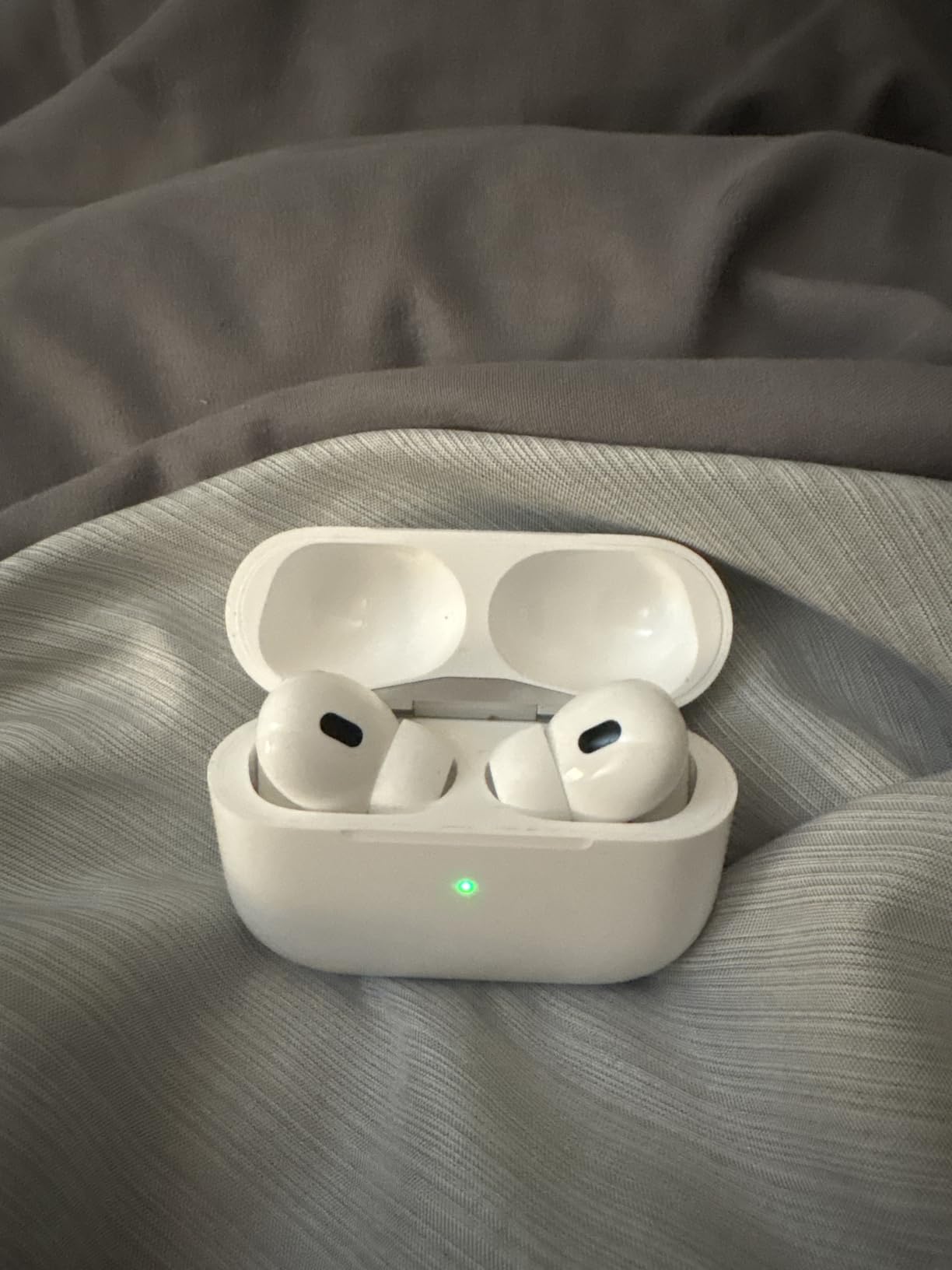 AirPods Pro customer photo 2