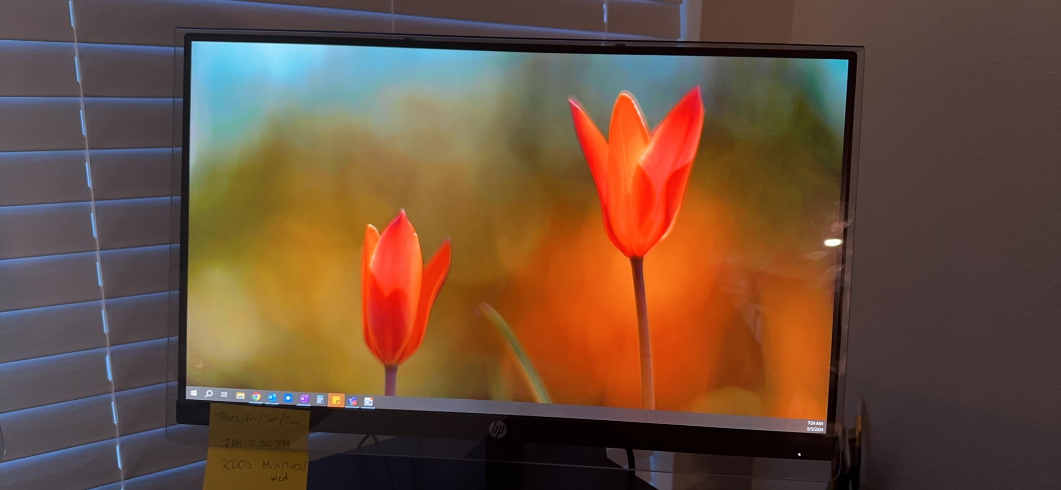 31.5-32 inch Universal Blue Light Screen Protector for Computer Monitor and TV. Filter & Damage Protection Panel (28.5 x 17.1) Blocking UV Display customer photo 2