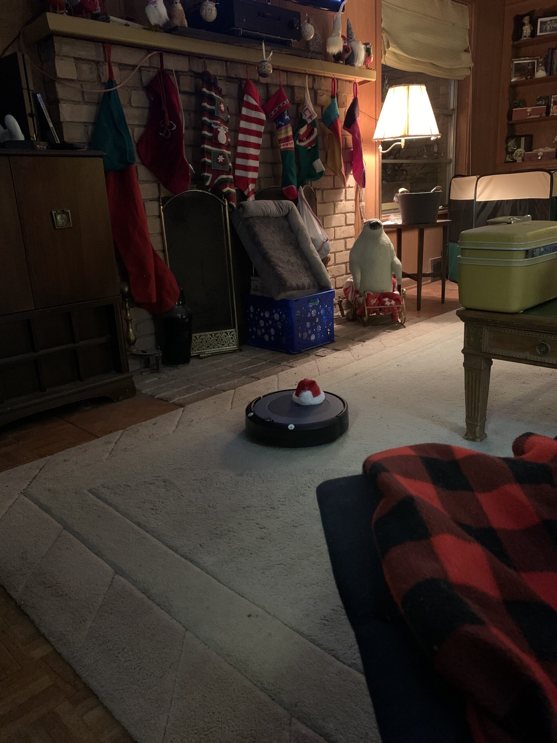iRobot Roomba i3+ EVO (3550) Self-Emptying Robot Vacuum - Now Clean by Room with Smart Mapping, Empties Itself for Up to 60 Days, Works with Alexa, Ideal for Pet Hair, Carpets customer photo 1