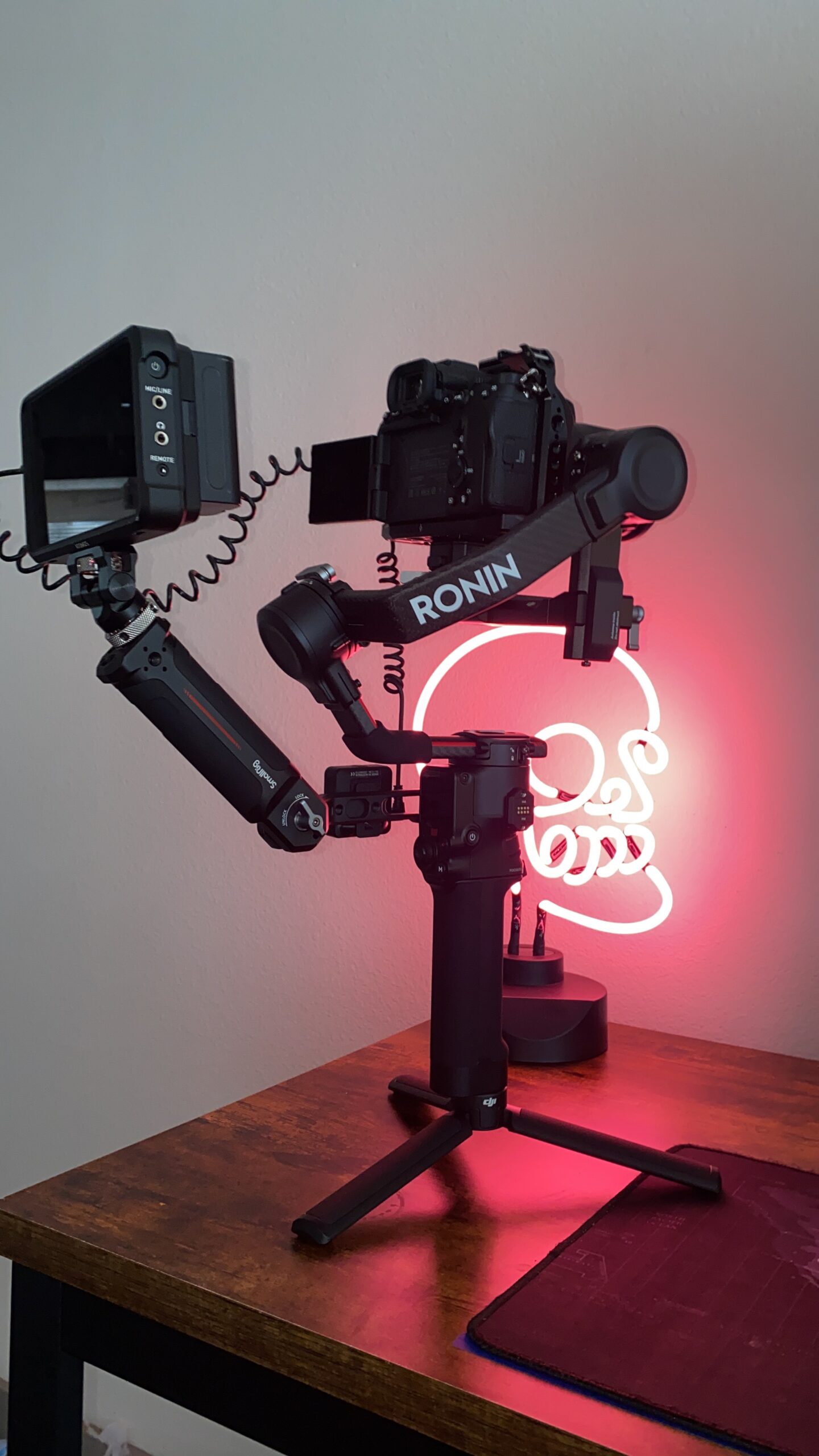 RS 2 - 3-Axis Gimbal Stabilizer for DSLR and Mirrorless Cameras, 10lbs Tested Payload, Carbon Fiber Construction, 1.4
