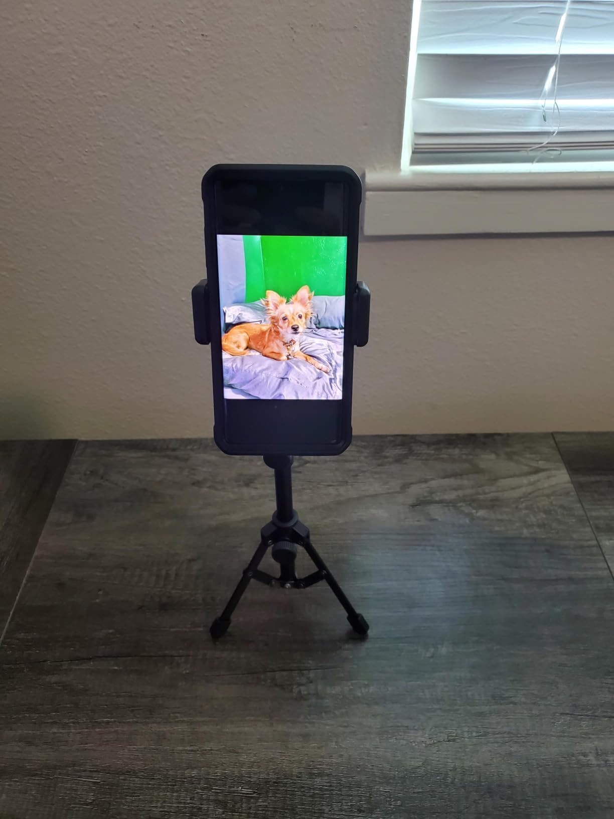 Webcam Tripod Stand Extendable Desktops Tripod for Camera/Phone/Webcam, Desk Tripods Webcam Mount Holder Compatible with Logitech Webcams C925e C922x C922 C930e C930 C920 C615 /iPhone/Ring Light customer photo 2
