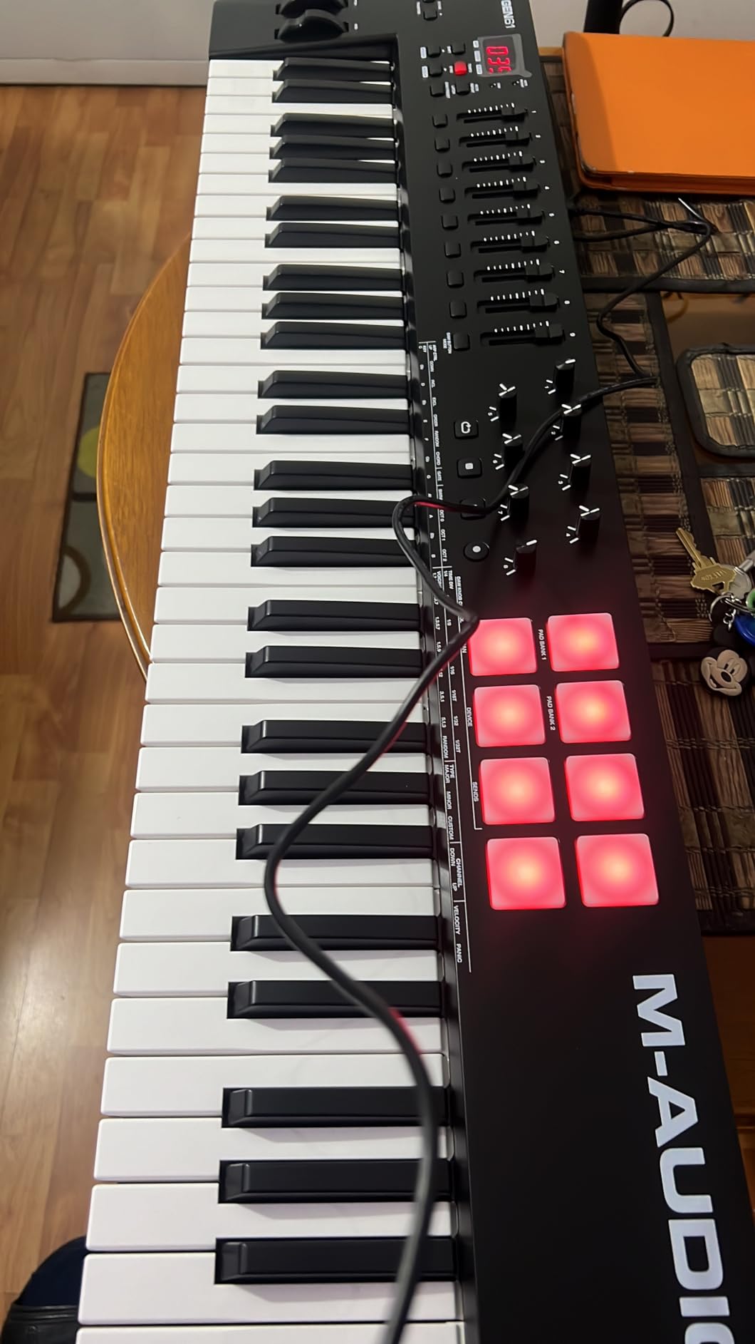 M-AUDIO Oxygen 61 (MKV) Key USB MIDI Keyboard Controller with Beat Pads, Smart Chord, Scale Modes, Arpeggiator and Native Instruments Sound Package customer photo 2