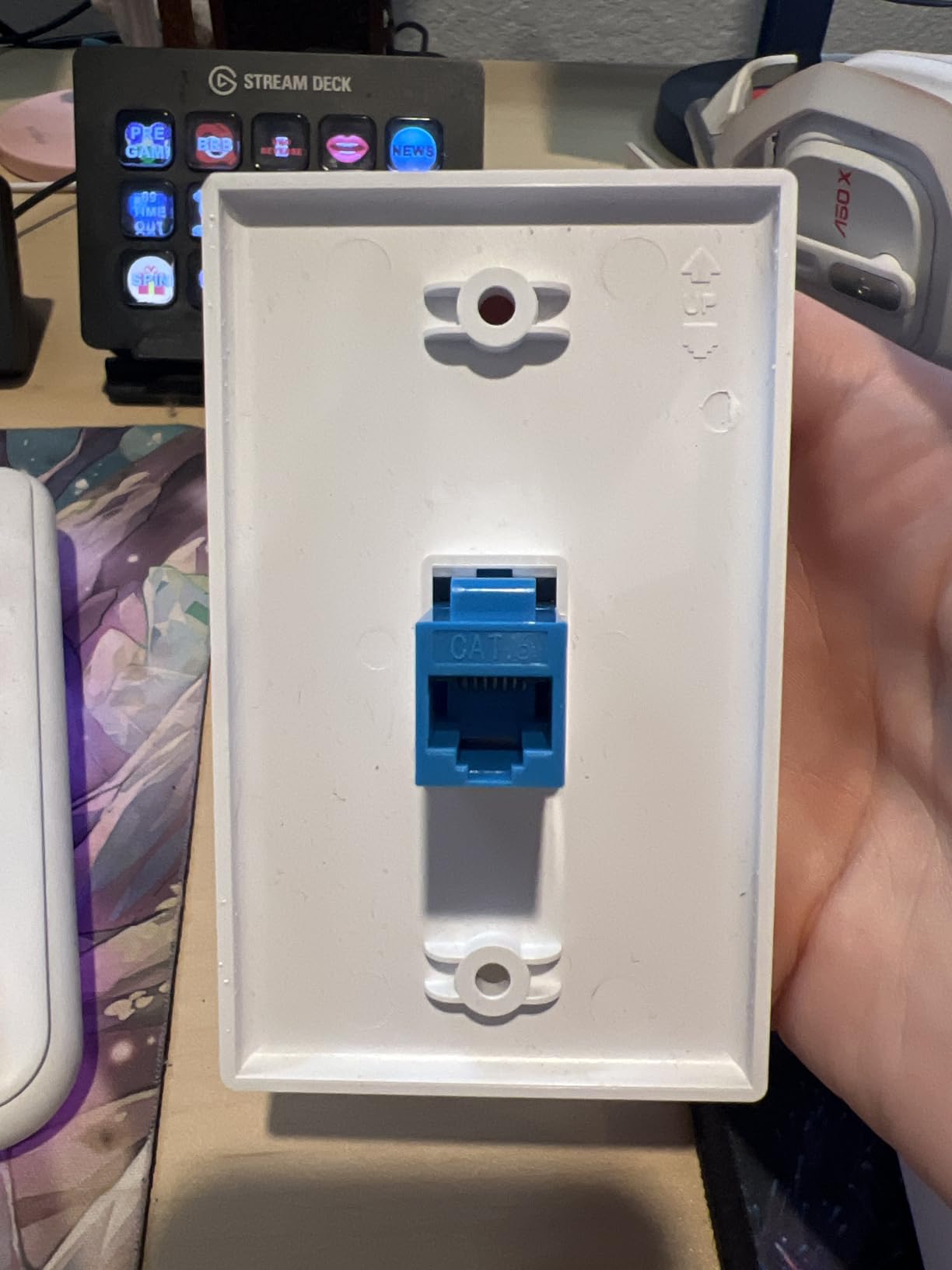 iwillink (2-Pack) Ethernet Wall Plate, 1-Port Keystone Jack Wall Plate with RJ45 Keystone Inline Coupler insert, Female to Female Cat6 Wall Plate, Blue customer photo 2