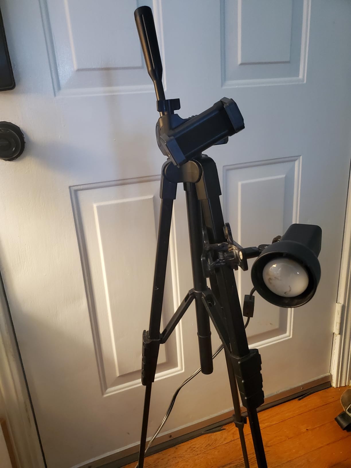 Aureday Phone Tripod Stand, 64