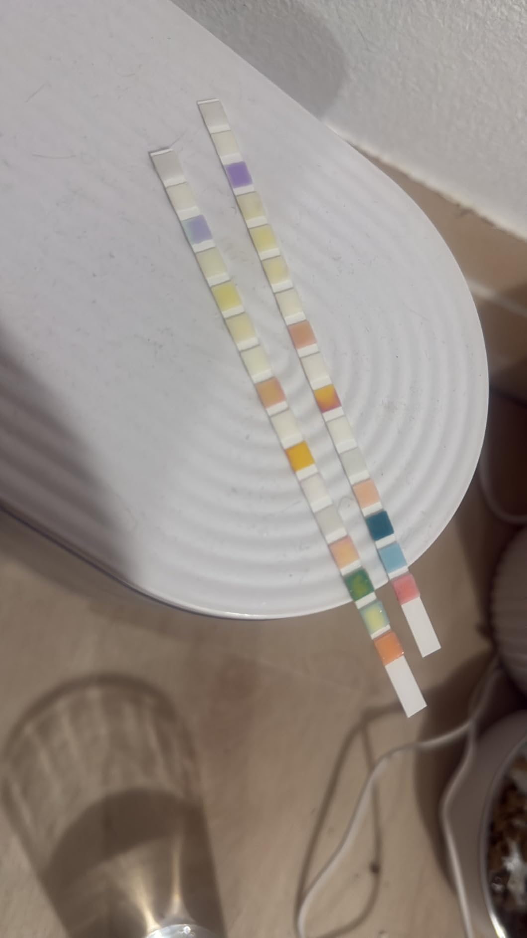 TESPERT Drinking Water Test Strips 125ct 16 in 1 - 30s Quick Screening for Hardness, pH, Iron, Nitrite, Copper, Chlorine, Nitrite, Carbonate,Lead, Alkalinity...Well, Tap, Home, City Water Testing customer photo 2