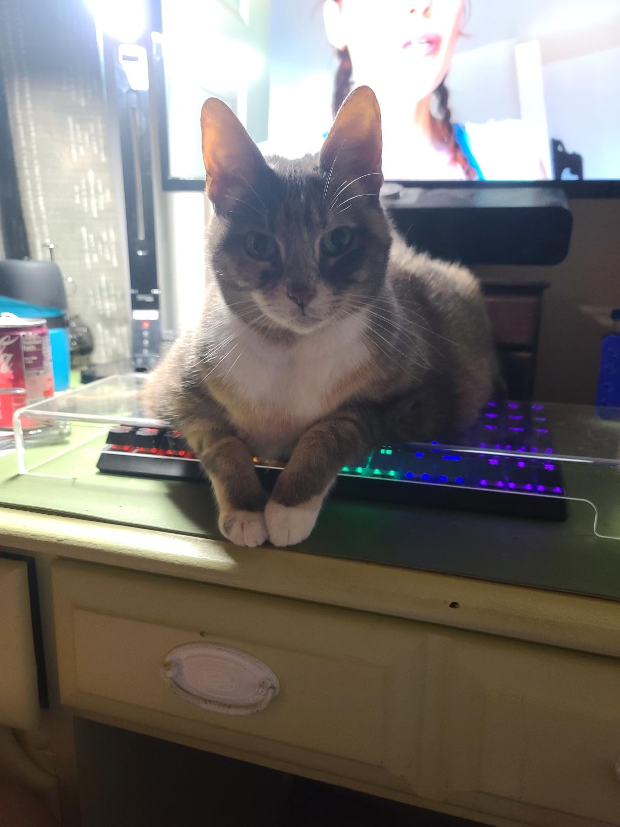 Acrylic Keyboard Cover, Clear Keyboard Dust Cover for Desktop Anti-Cat Protector Lid Waterproof Protective Case (18.5x5.9x1.8 Inches) customer photo 1