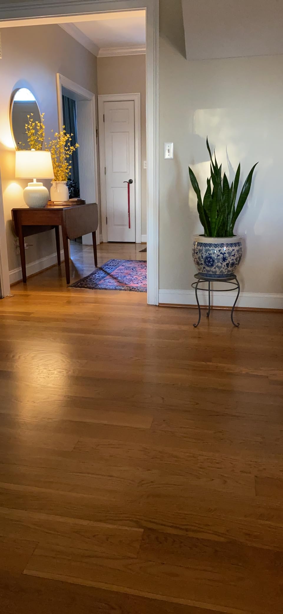 Dyson Gen5detect Cordless Vacuum, 280AW, 3 Power Modes, Up to 70 Minutes, Illumination Reveals dust, HEPA Filtration, All Floor Types customer photo 2