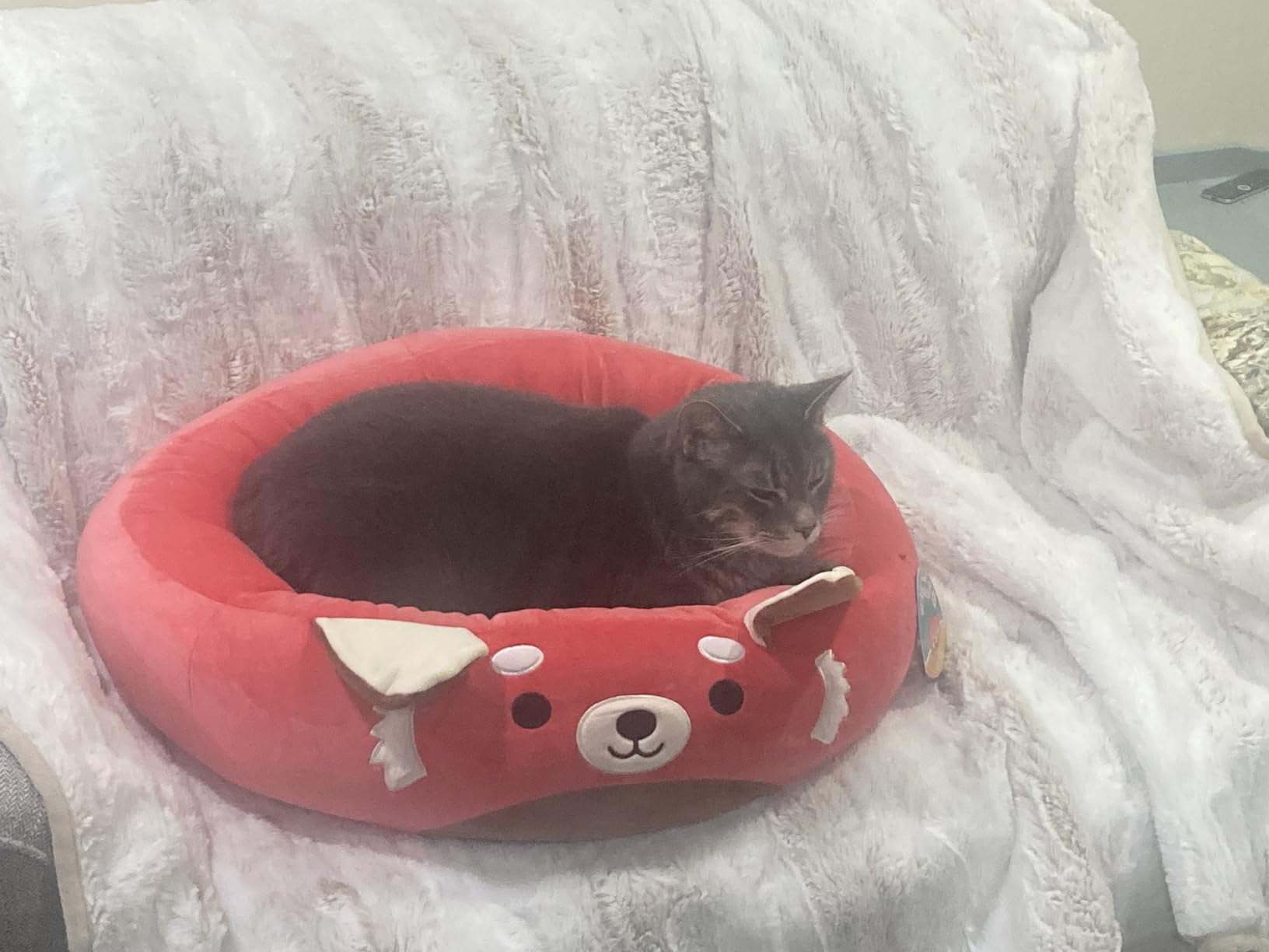 Squishmallows Original 30-Inch Tatiana The Dragon Pet Bed - Large -Sized Ultrasoft Official Plush Pet Bed for Dogs and Cats customer photo 2