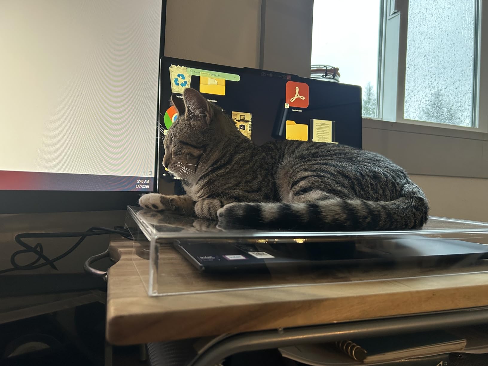 15.6inch Laptop Keyboard Covers Acrylic Keyboard Cover Cat Laptop KeyboardProtector Transparent Protector for Desktop customer photo 2