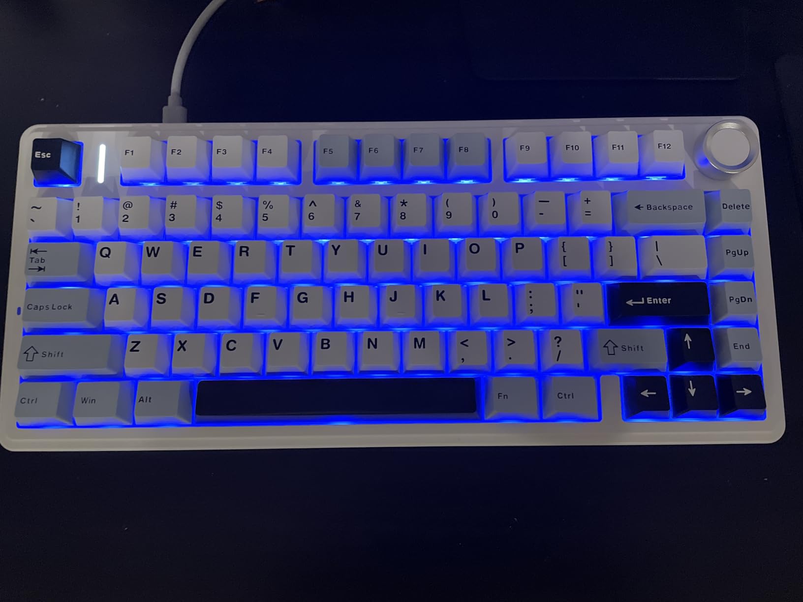 AULA F75 75% Wireless Mechanical Keyboard, Hot Swappable Creamy Keyboard, Pre-lubed Reaper Switches, 2.4GHz/Type-C/BT5.0, RGB Backlit Gaming Keyboards(White & Blue) customer photo 2