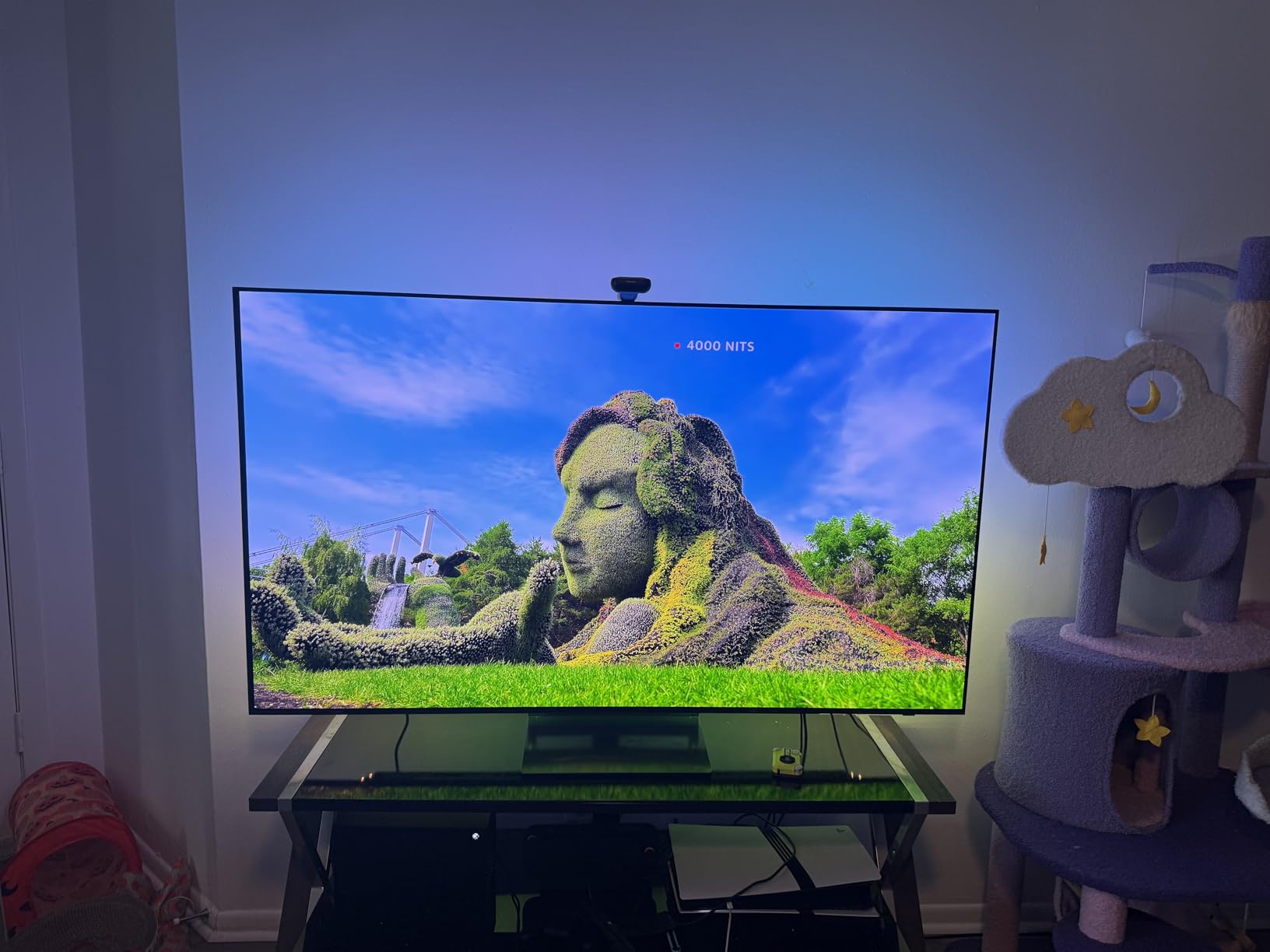 Samsung 48-Inch Class OLED 4K S90D Series HDR Smart TV w/Dolby Atmos, Object Tracking Sound Lite, Motion Xcelerator, Real Depth Enhancer, 4K AI Upscaling, Alexa Built-in (QN48S90D, 2024) customer photo 1