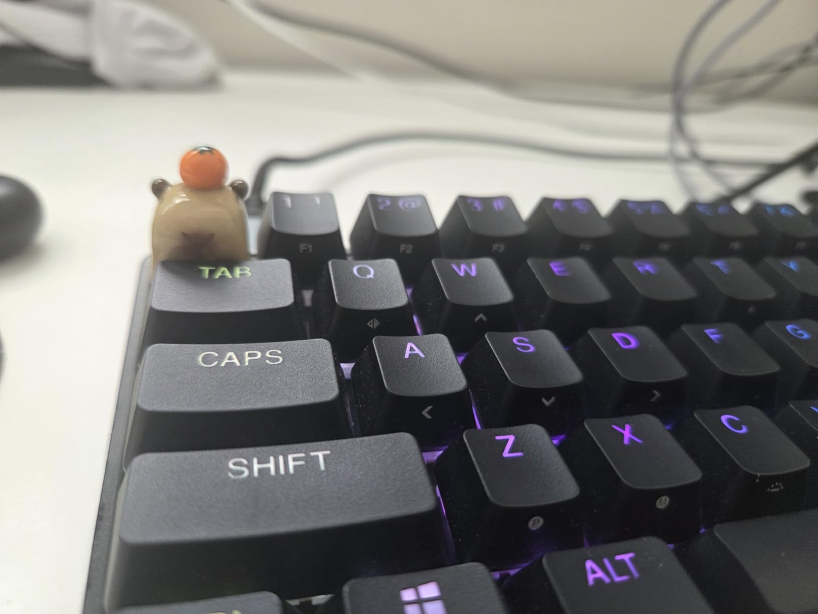 Cartoon Capybara Keycap,Custom 3D Handmade Clay Artisan ESC Keycap,Cute Keycaps Personalized Replacement Key Caps for Cherry MX Mechanical Gaming Keyboard (Orange Capybara) customer photo 1